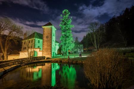 Foto: Jaka Ivančič